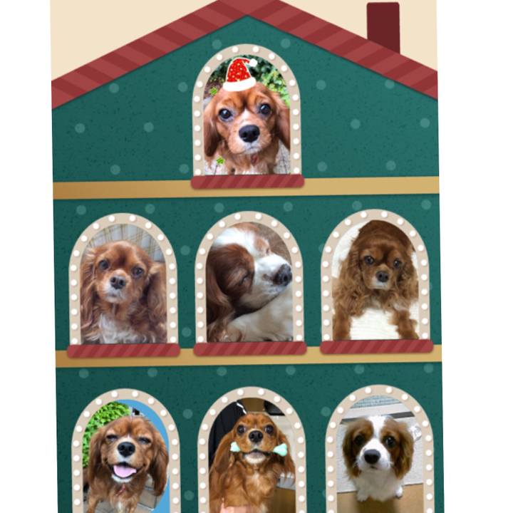 8d62388c a28c 42ad a7e8 d5fb1d865a39 1545640429741