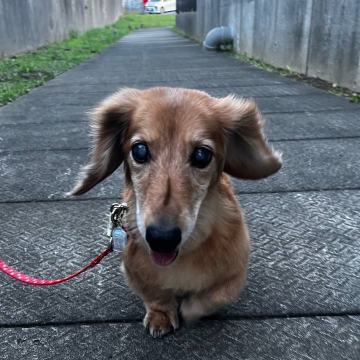 8d625a44 3c5b 4cad 8da5 8371d021f469 1662293942332