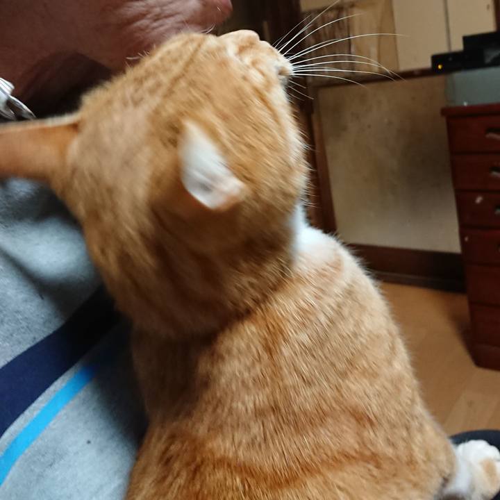 8d627701 f150 4b24 a7d2 34125811a174 1603654415779