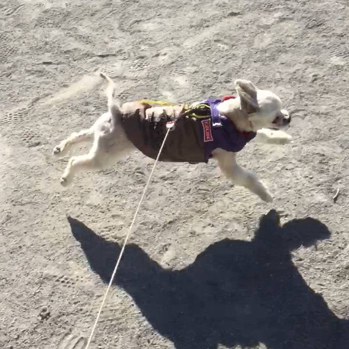 8d62a648 c748 459b ab69 0870e2d624c8 1546002472041