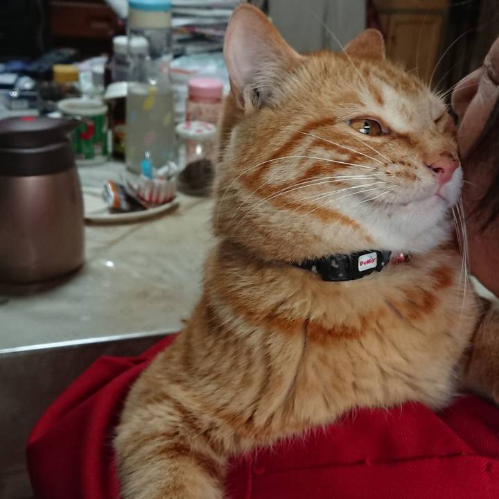 8d62b6f5 a1d2 4858 854a 890ac06f30bc 1648250612812