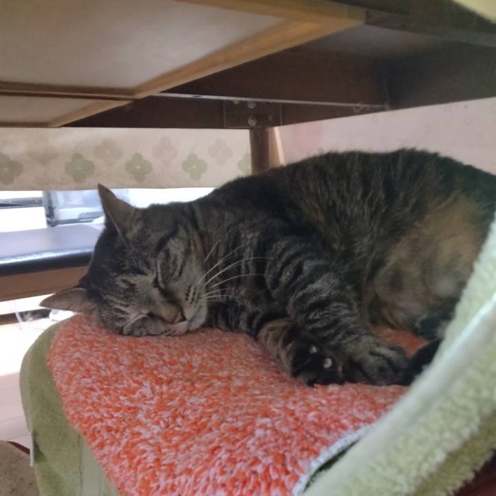 8d62e2a0 d9fc 46bb bee4 efa364500249 1711494379435