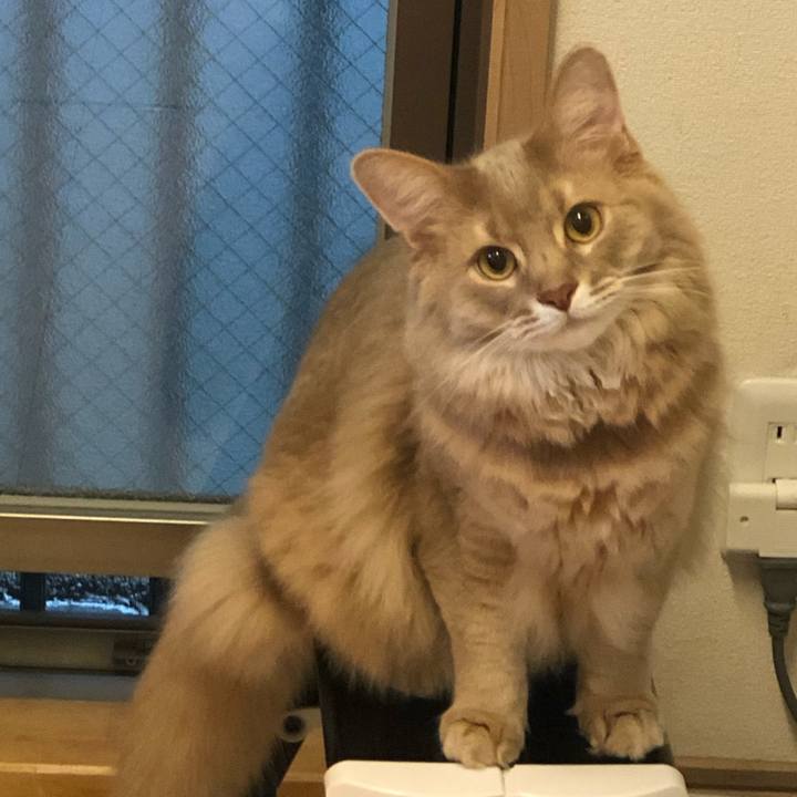 8d62e666 24db 4a9b 8755 37320c53fc67 1609674977414