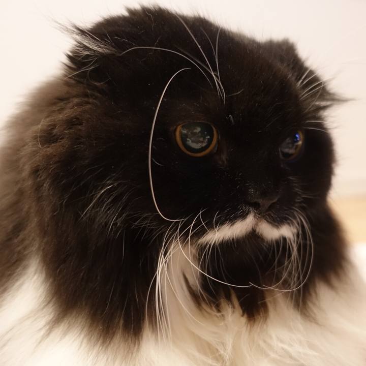 8d62fa79 5f35 47b1 9240 42da21492e82 1560187579677