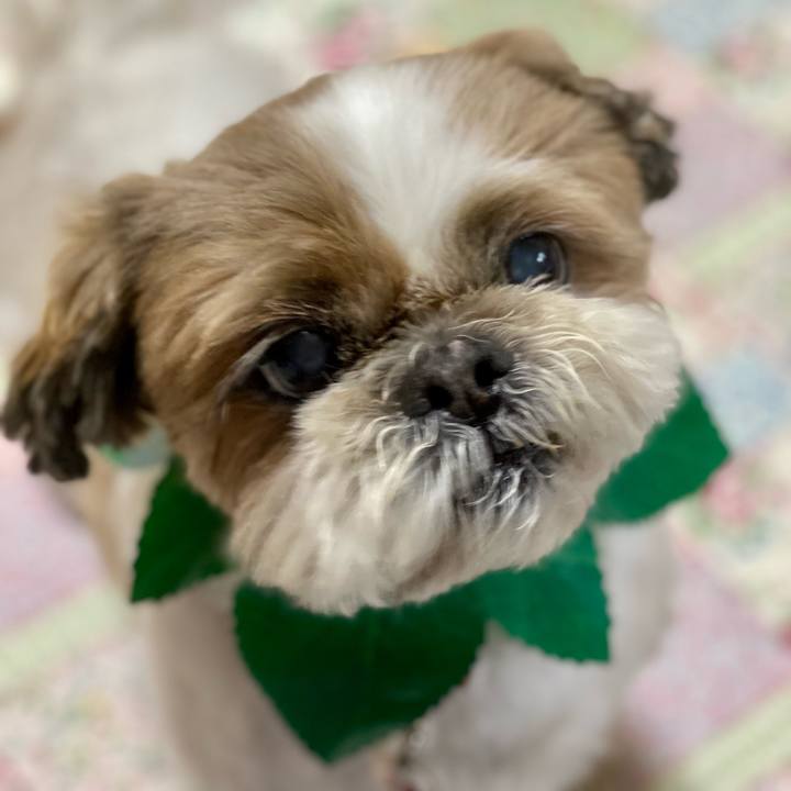 8d62fb7c 22f7 4931 bbfb 5914a08f326e 1652590160434