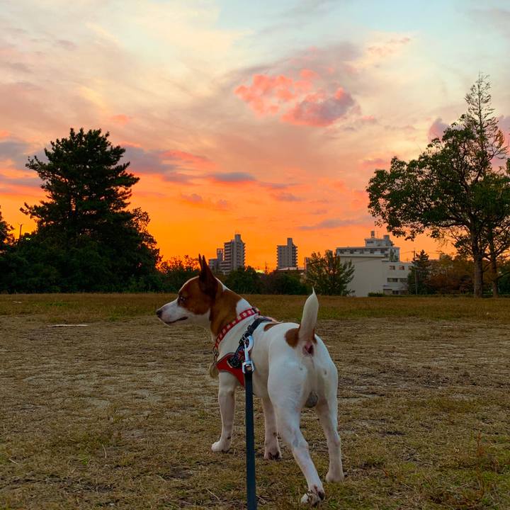 8d6331ac f49b 49d7 9476 50fe029eda00 1541583012994