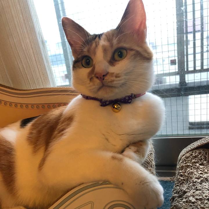 8d633825 5a9e 44c8 8e31 7323a8b049e1 1600592311762