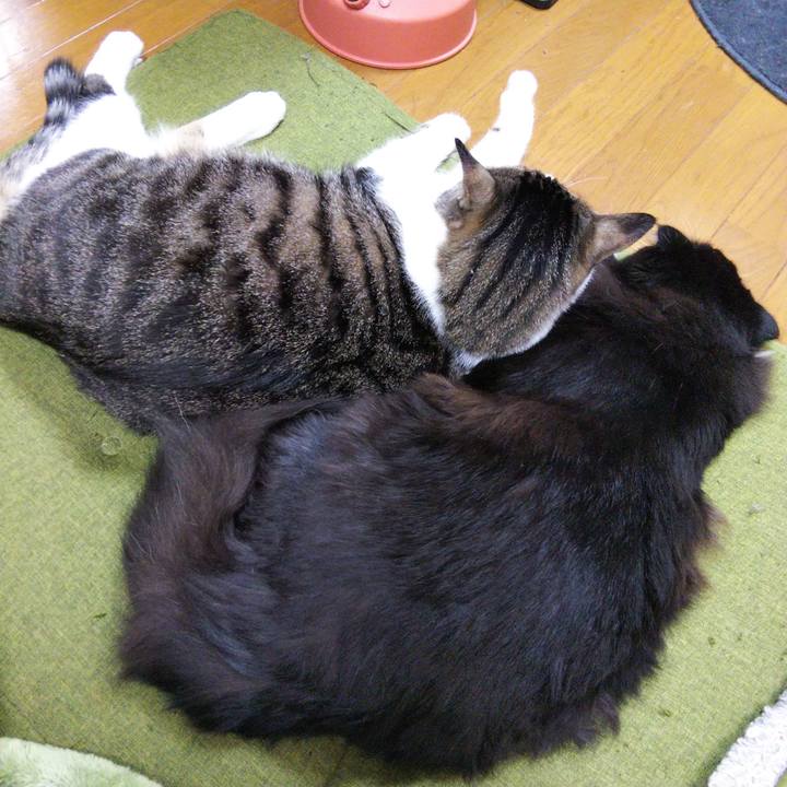 8d6343bf 07e6 471c 8412 19942f4fe01e 1651573509440