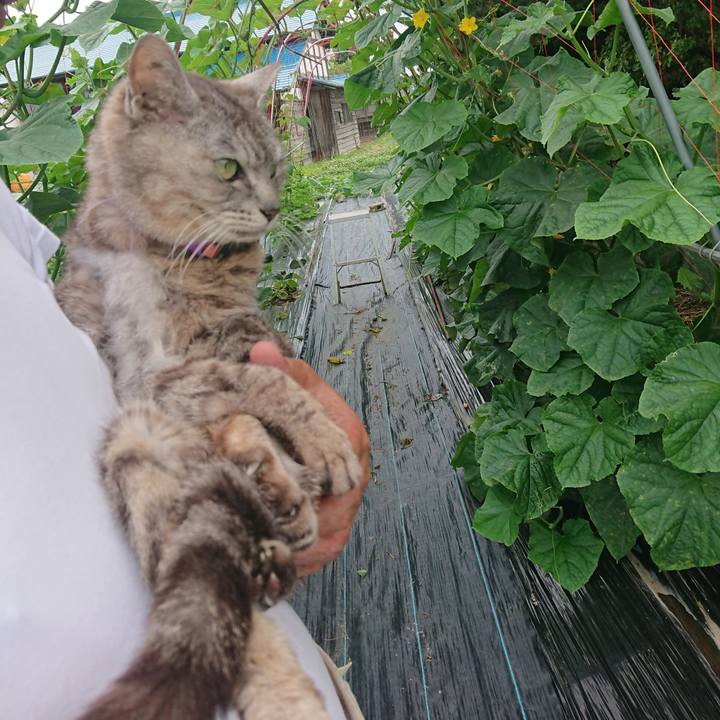 8d6344eb 10df 4282 9617 7ebc253f12c4 1593930476782