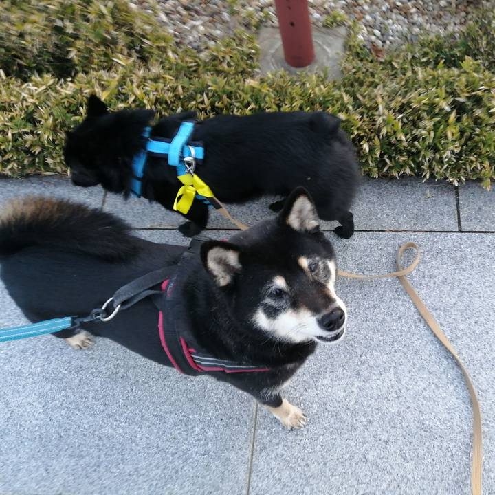 8d636161 0234 496e 9498 a9b07a6782e4 1637967544198