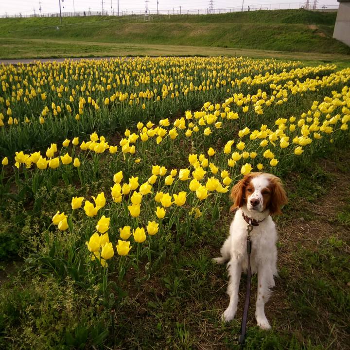 8d638330 6fcb 4f8d 9dda b2ef039e4cc8 1523101593554