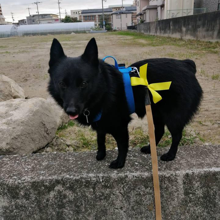 8d638ea3 a22a 4f57 ae44 478fda4ad2f0 1636322461951