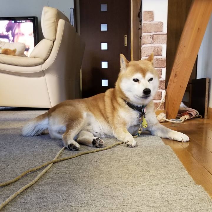 8d6392fb 6e4b 4012 988f 71736716b01f 1615940756664