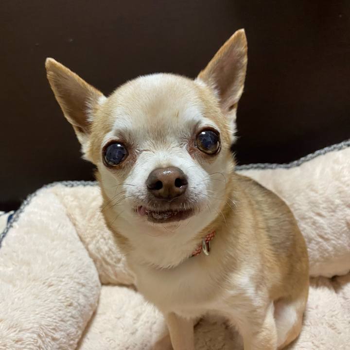 8d63ae75 2b2d 42fd a2b7 cd159a9506f1 1617019046876