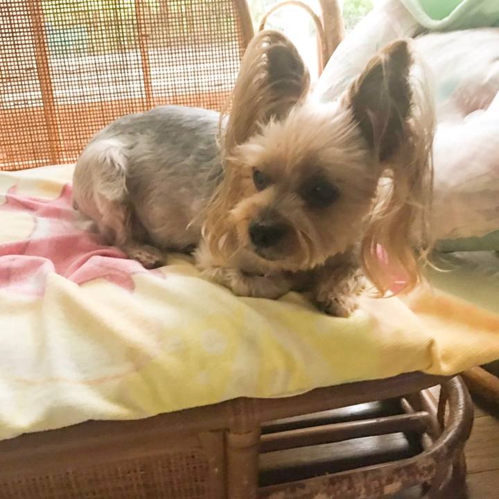 8d63dbff d4e6 4b47 92f3 34089ddcec30 1566550651441