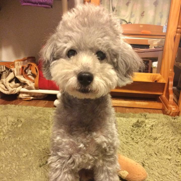 8d643718 1d06 47d1 a63b 665634664420 1732511898141