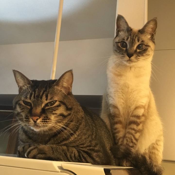 8d645fc4 09eb 42f9 ae29 bbeaadff09f5 1578752202333