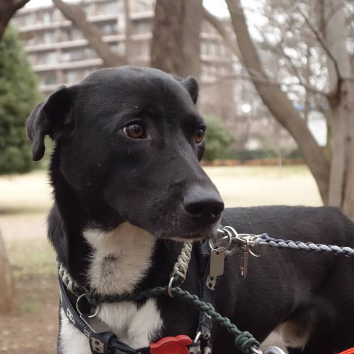 8d649277 5f87 488f 978b 15c58cacc4bb 1581493117761