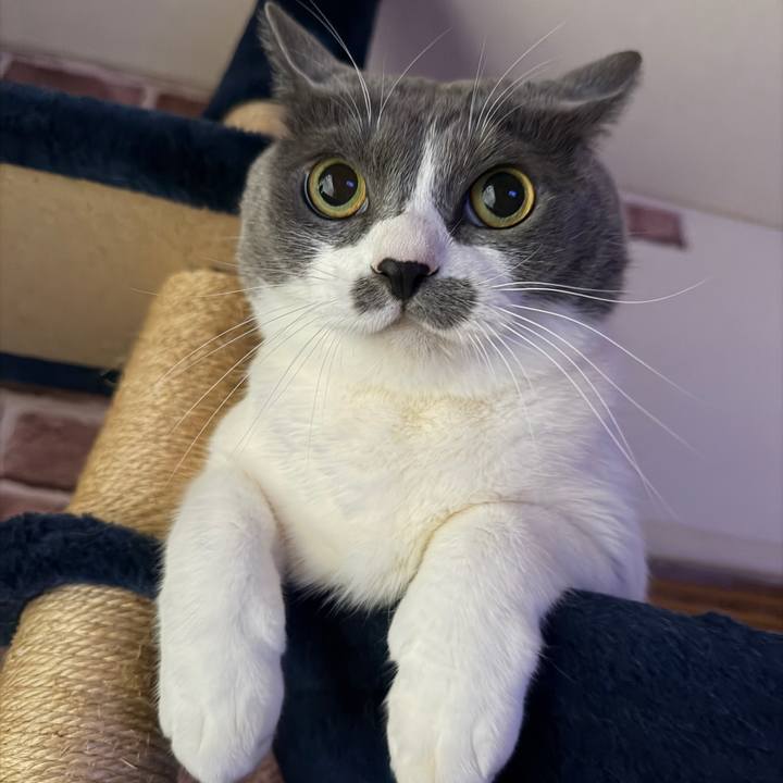 8d64953e ca5d 4d11 b5f0 b1894f1f886b 1764714360491