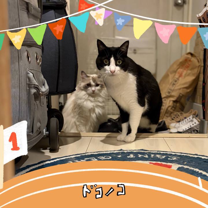 8d649c48 9564 400c 828d 0620f8ad83c7 1761314724471