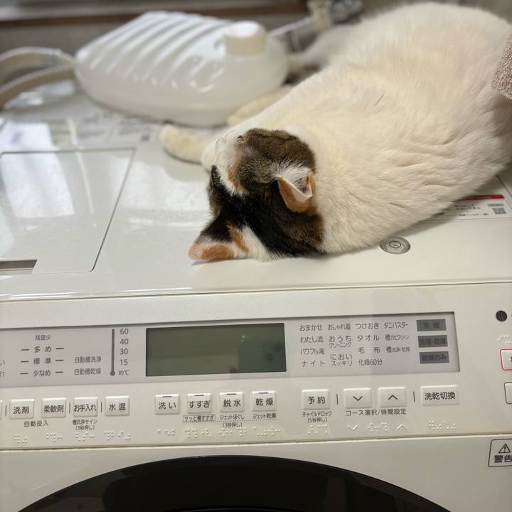 8d64c08c 72b6 46b2 9ba5 1c4dec28b54c 1707107706168