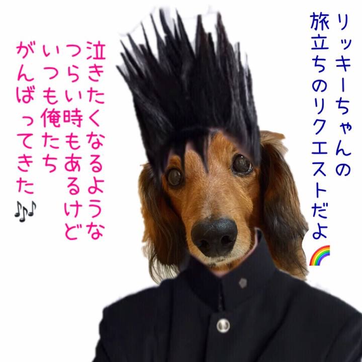 8d64dfd4 4f38 43e9 a6f3 c0f1bece024e 1545541202974