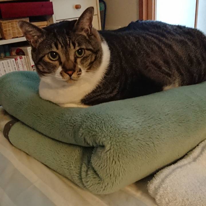 8d64ec33 4aa2 4e14 8997 98755823d31d 1571871806196