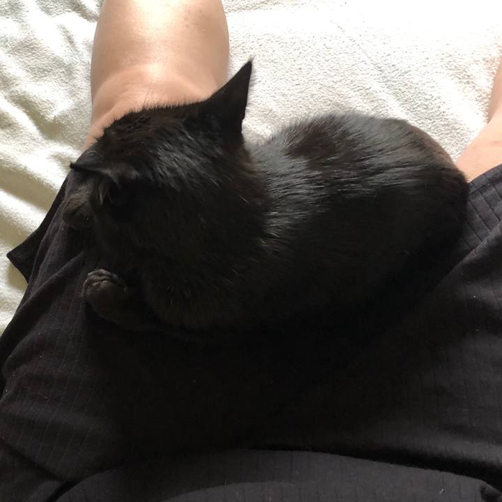 8d65108e d37a 4f1d b16c 8e8fd081620c 1566627039081