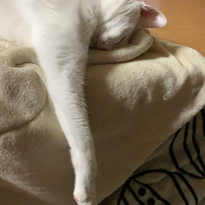 8d652301 acfe 4bdb a3d3 d5ecc904642e 1611328550614