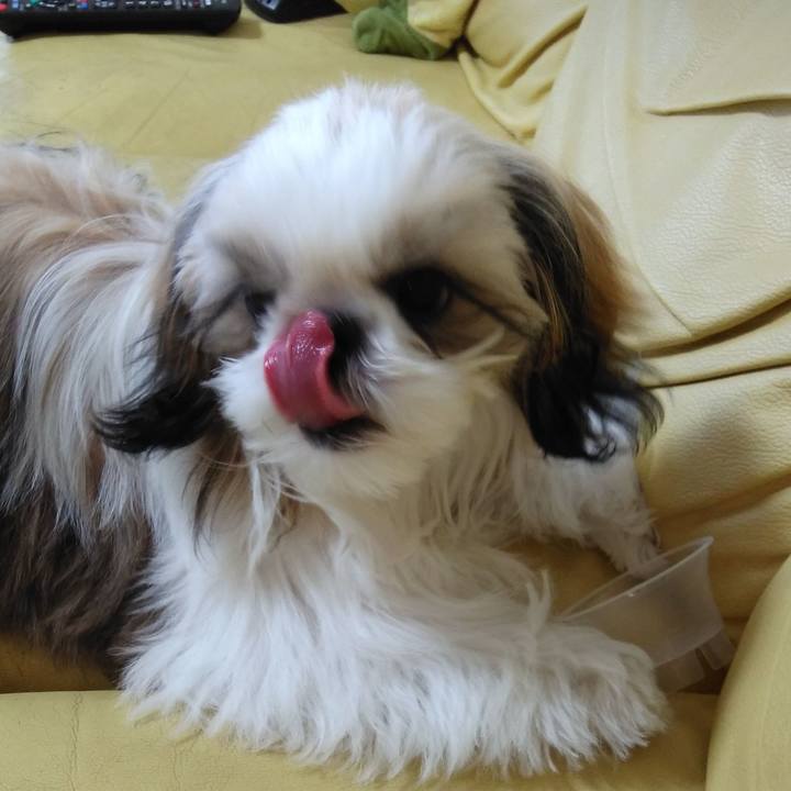 8d652622 0d5a 4b93 adb2 fd27c2bf23f6 1540783833043