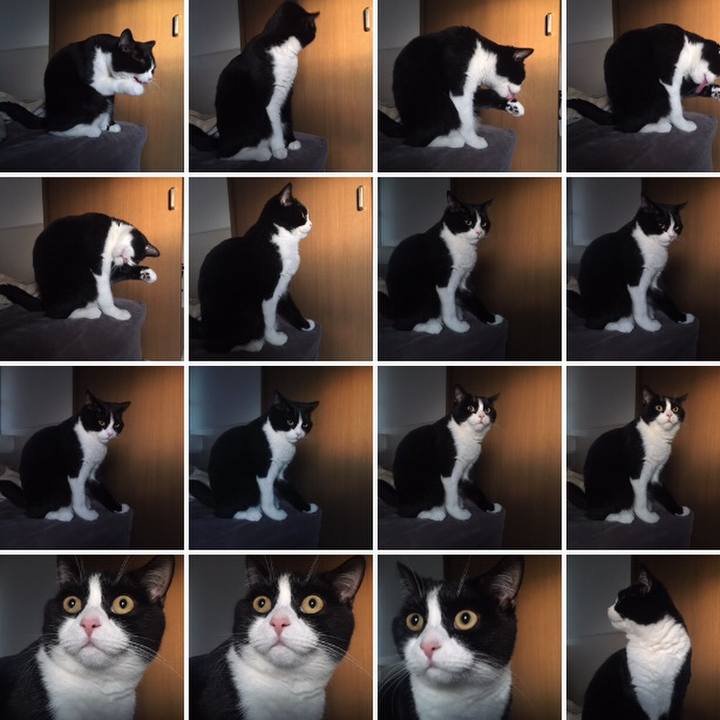 8d652966 08e7 4da2 9c24 5fa2048c113f 1544276397708