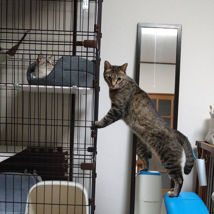 8d652f98 4b38 45a8 8c69 4b2d3ea2c0f2 1625803853912