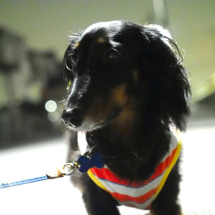 8d65668f 7495 4171 9b5d 3b4108e2c6e7 1595507698618