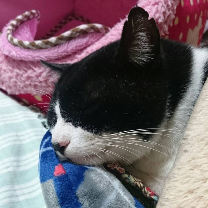 8d657895 ca9a 404b 95dc 414e32dc0ae2 1508758609341