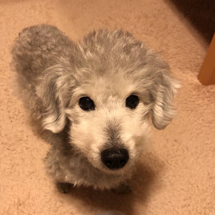 8d65c88e 4d28 43a1 b0b0 8269a49d0b74 1579177512881