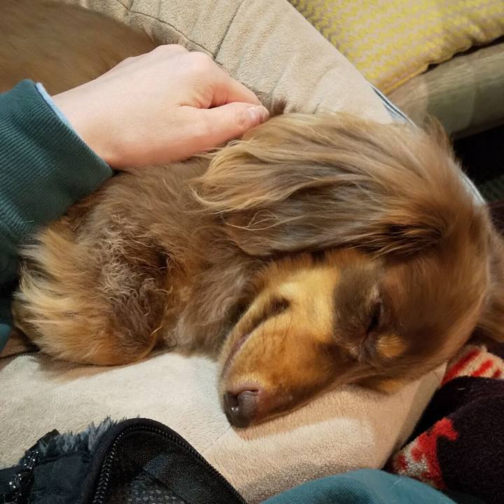 8d65ff31 a543 4f2a a239 62064b9c5d6a 1573600435490