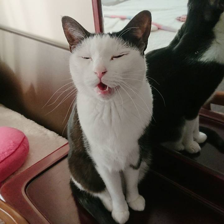 8d664778 60a7 4232 a7b9 87dcbd1943e6 1546760113084