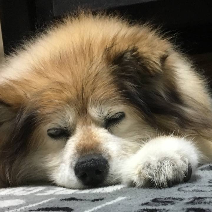 8d66553a defa 4b3f 8e18 afd6283611ed 1614215782370