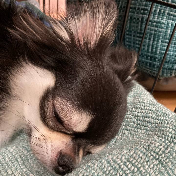 8d666183 e45a 470c 8c05 f852433a7a61 1660487297963