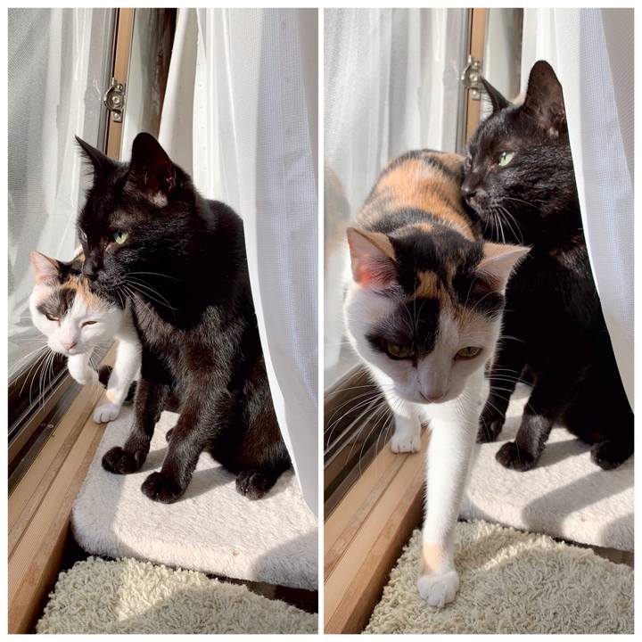 8d667e98 190b 4169 ac12 f3f5d3f7ae0a 1539826172844