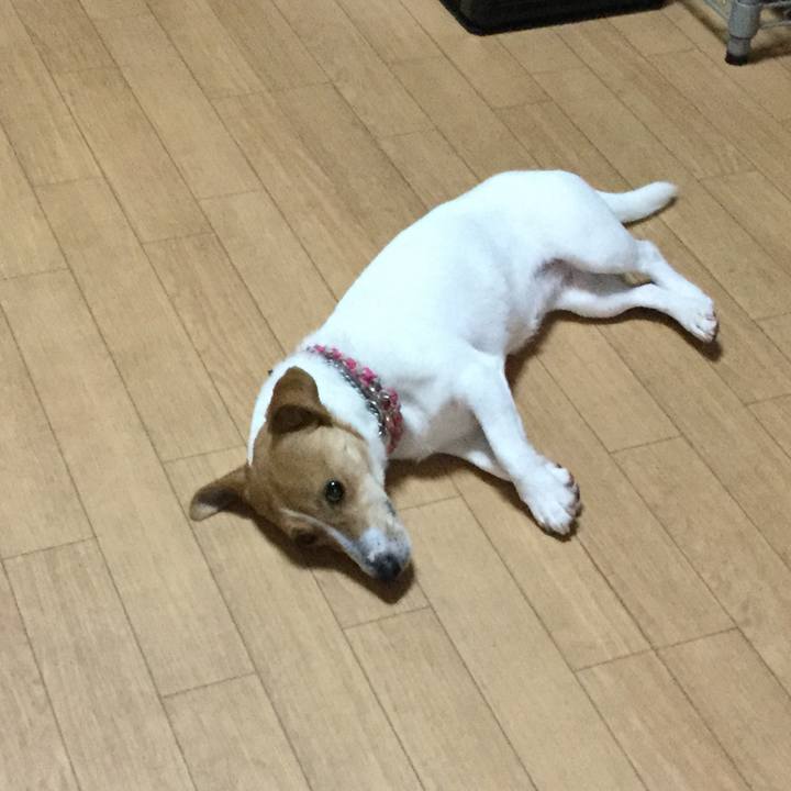 8d66c527 2941 41db aa5a 73ac1f9679ed 1524642424915