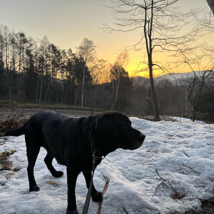 8d66c7fb fee6 486a 81a2 cb51efa28528 1774183557258