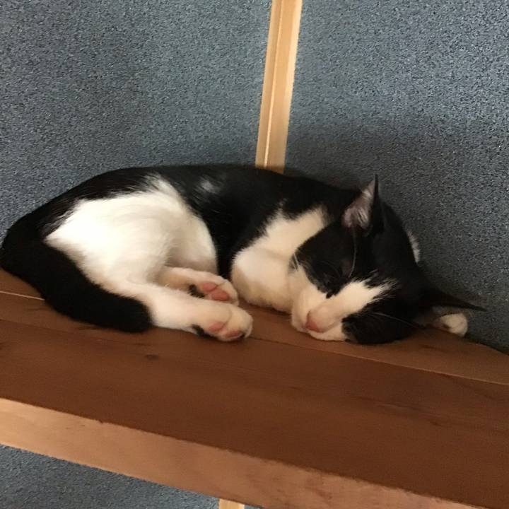 8d670de2 e614 48bf 9aaf 1da0ea3441e4 1630052161215