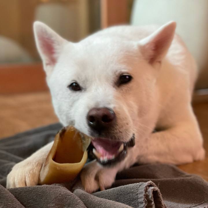 8d6714d8 c747 4f24 b864 b15420685a3d 1637597384940