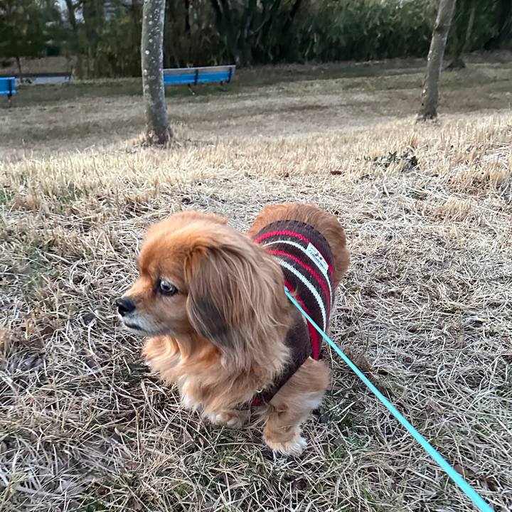 8d6745b5 ae0c 474e 8ed4 30a3a839c530 1710366321934