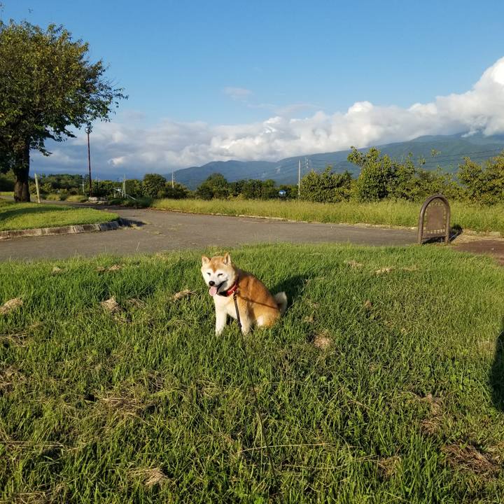 8d676bff 2e74 4df7 b251 dbeb37f691f6 1726559222291