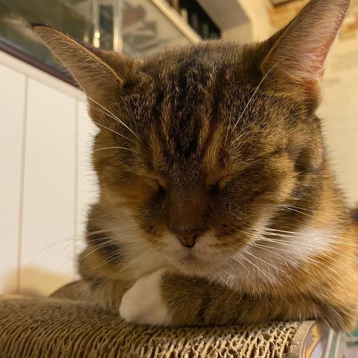 8d6779bf 684f 4016 8947 0d43acf0c8b6 1632222810528