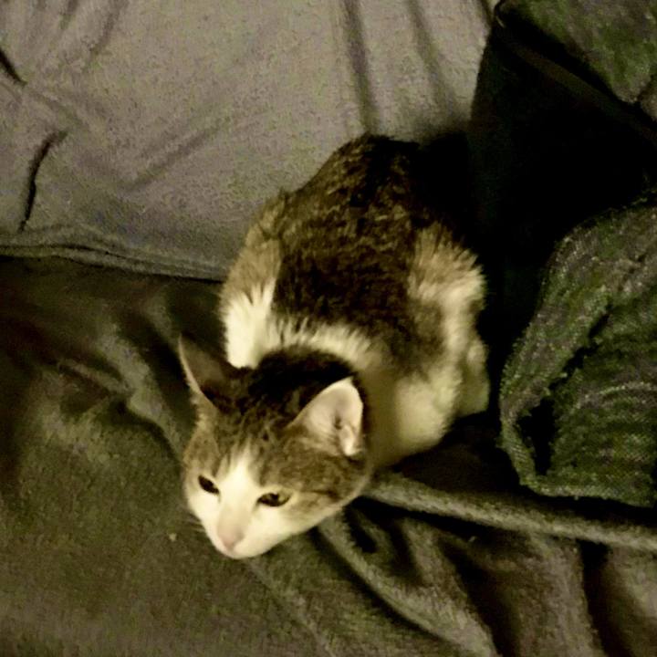 8d679161 8618 4ac4 8f3e be7aa12f8efa 1626347568386