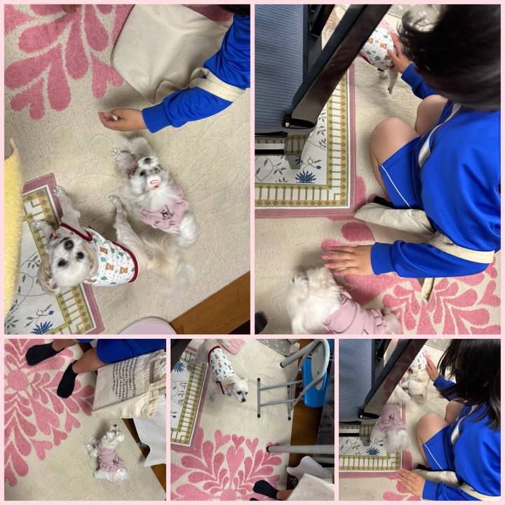 8d6792b9 8318 41dc 895d f7e5e8c9f695 1745578972989