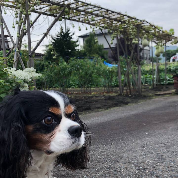 8d67daf3 1fa9 4a0b 92d3 8ba1e9f548ce 1567638698136